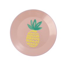 Coral Enamel Plate With Pineapple Print Rice DK